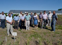 Щорічний традиційний огляд дослідів кафедр